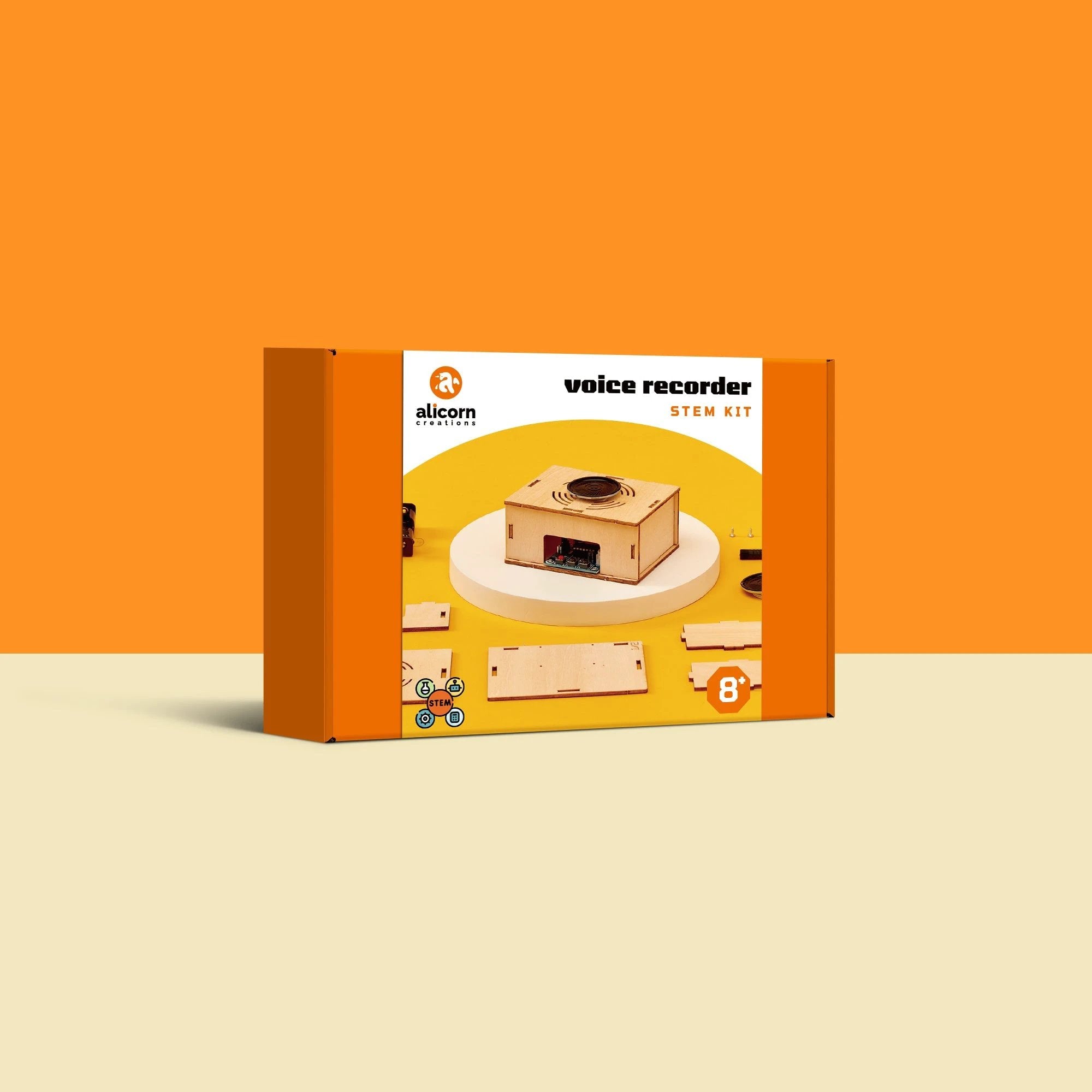 Voice Recorder DIY Kit, Educational STEM Toy by Kitsville