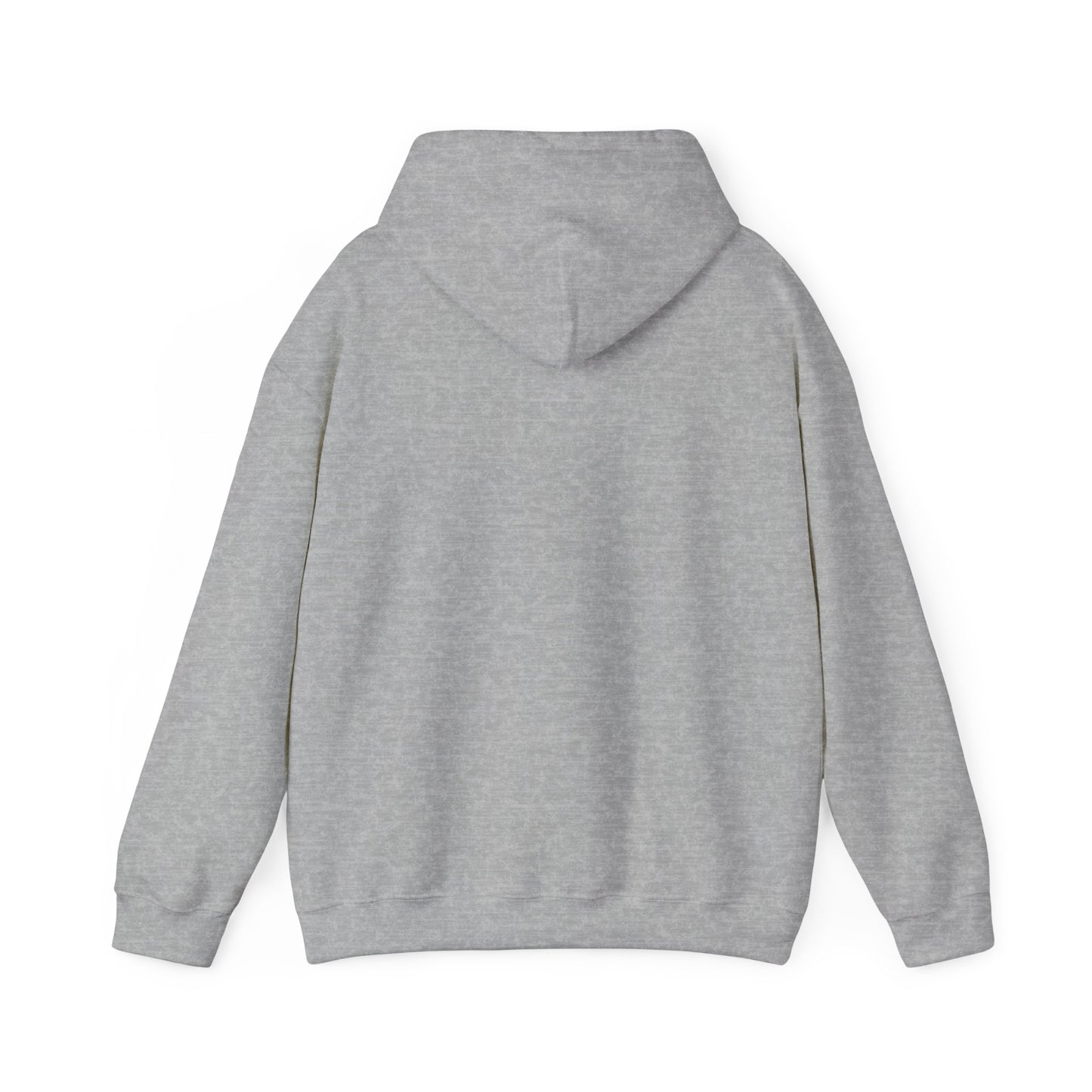 I'm in a Michigan state of mind Hooded Sweatshirt