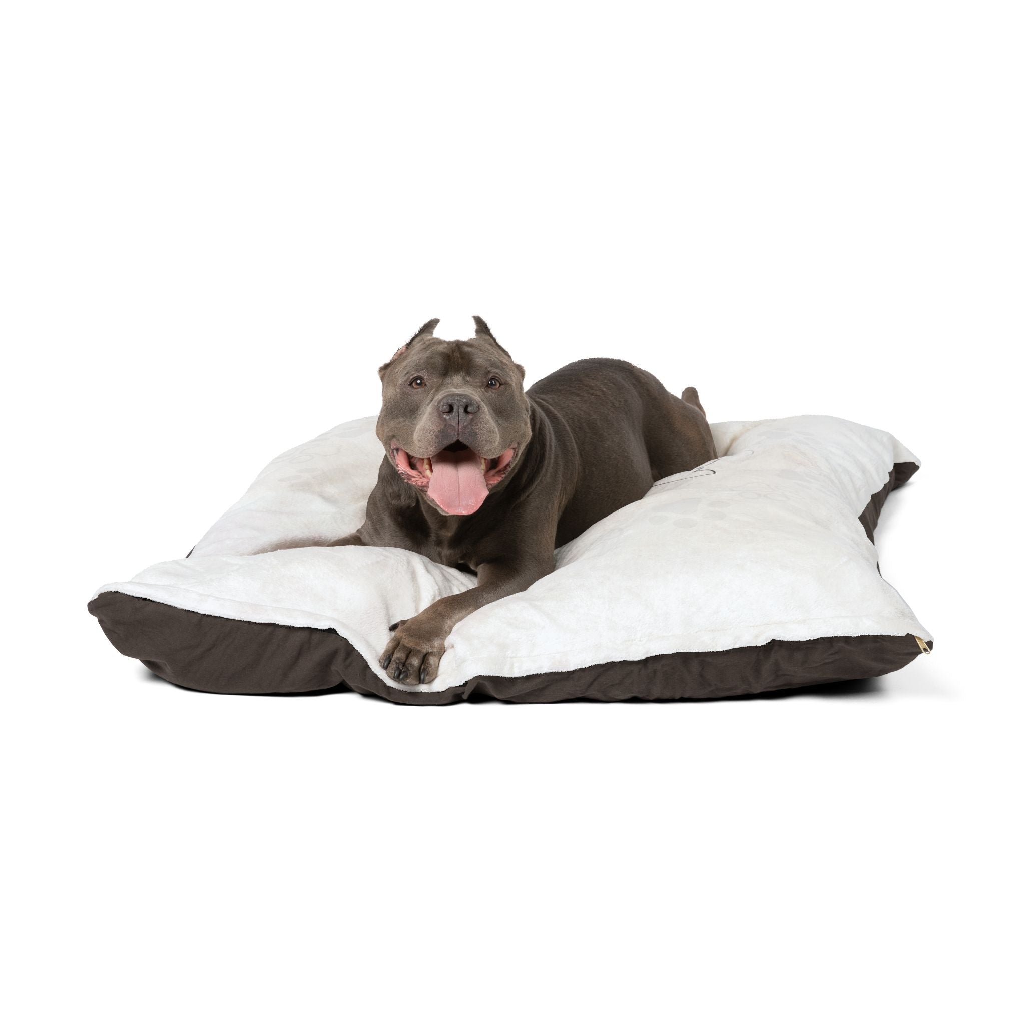 Le Meilleur Chat cozy Pet Bed