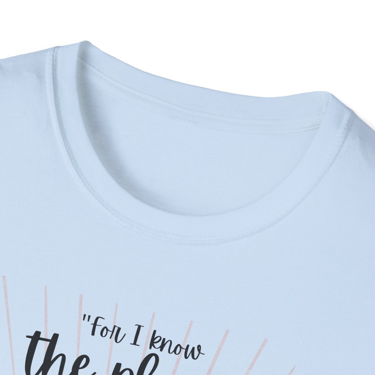 Jeremiah 29 11 Bible Verse T-Shirt