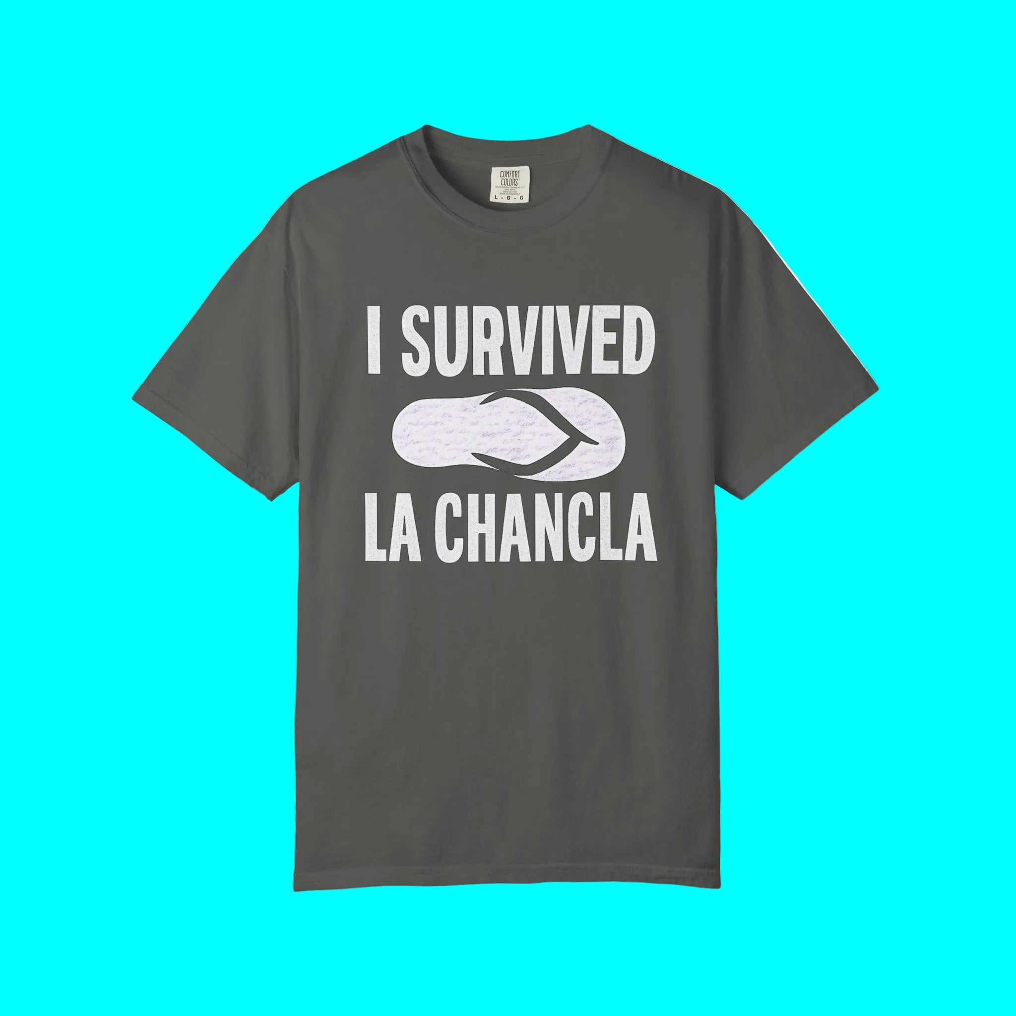 I Survived La Chancla T-shirt | Chancleta Joke Design | 3 Colors