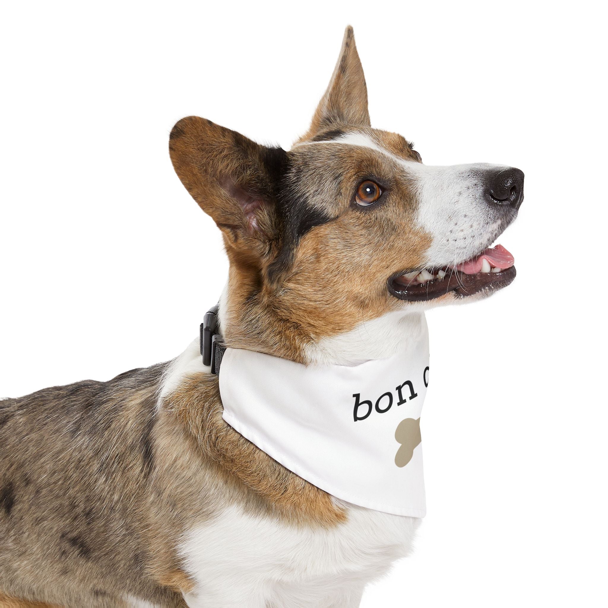 Bon chien Pet Bandana Collar