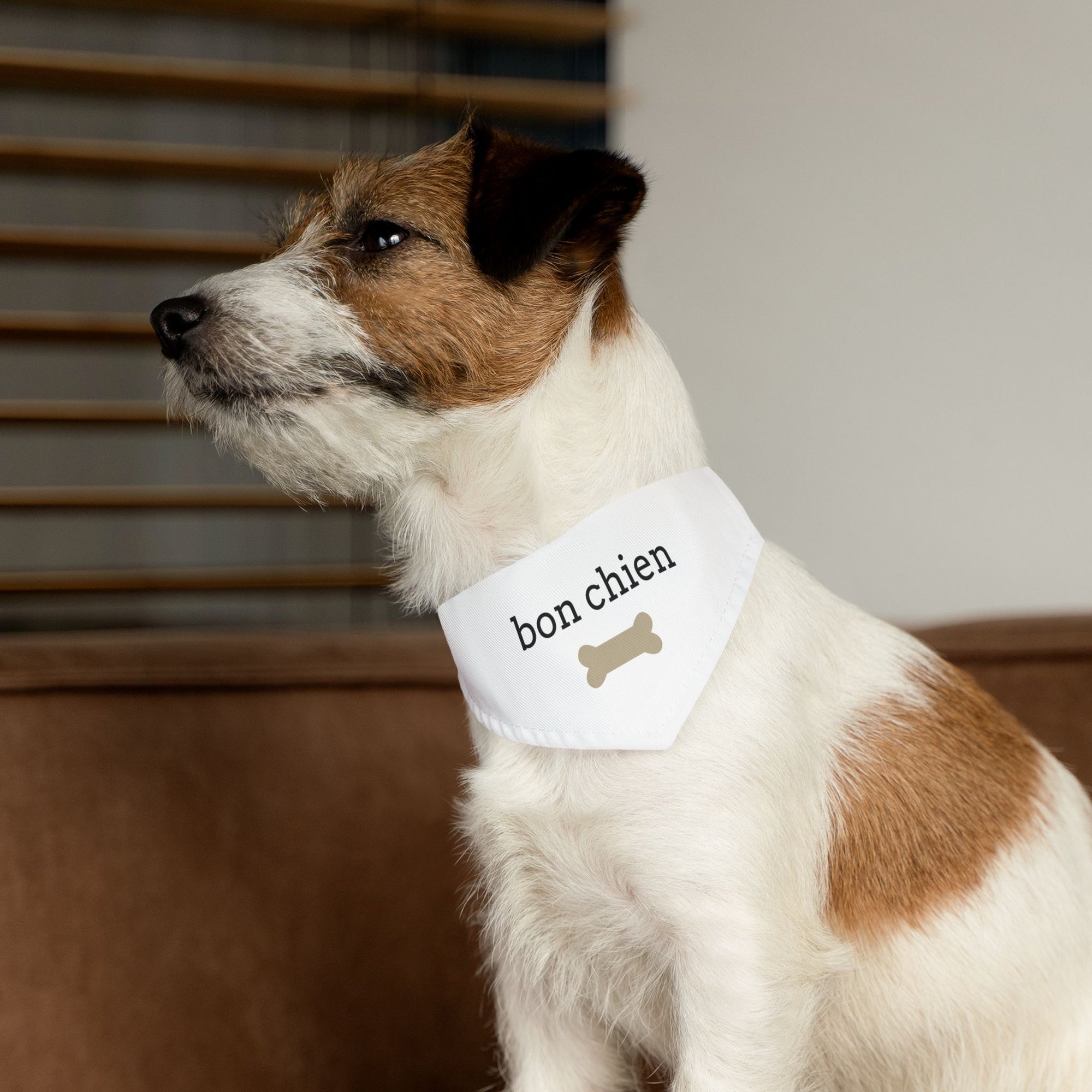 Bon chien Pet Bandana Collar