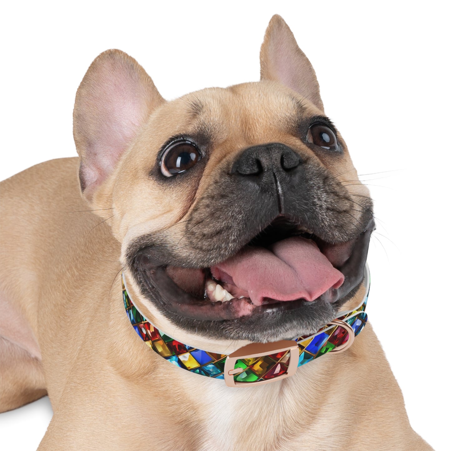 Collier pour chien à imprimé bijou