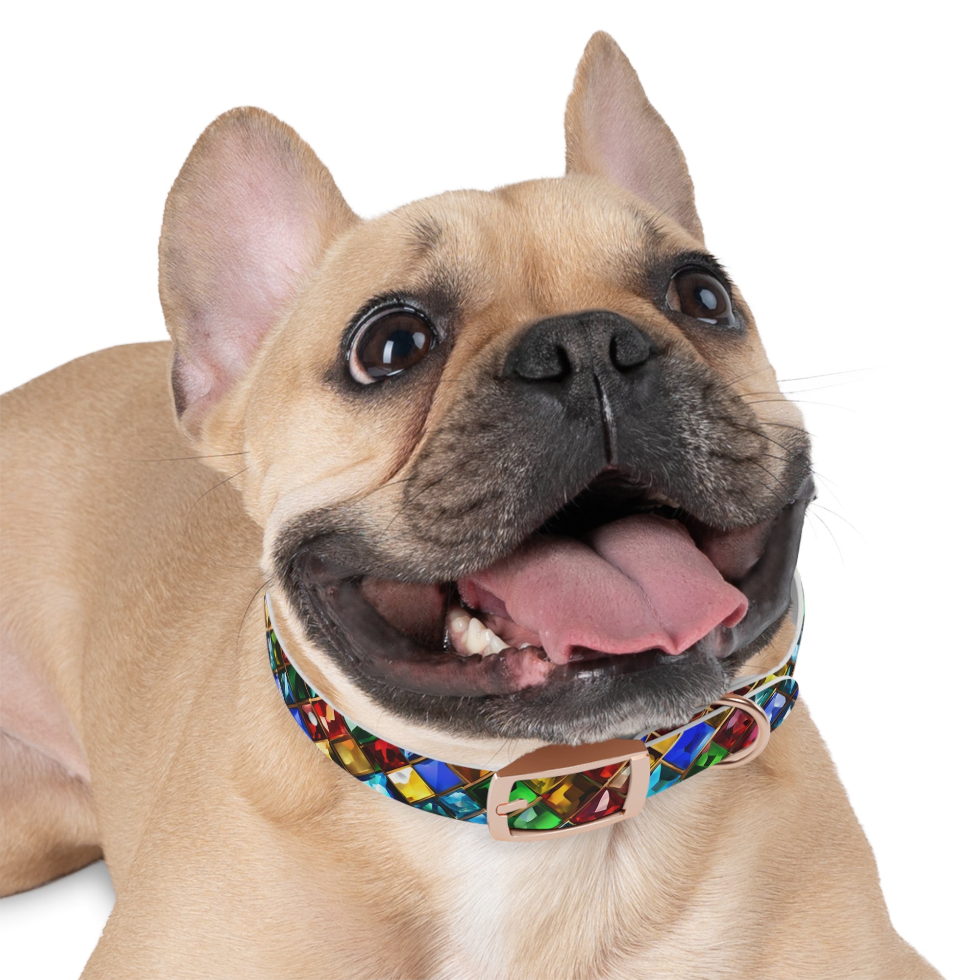 Jewel print Dog Collar