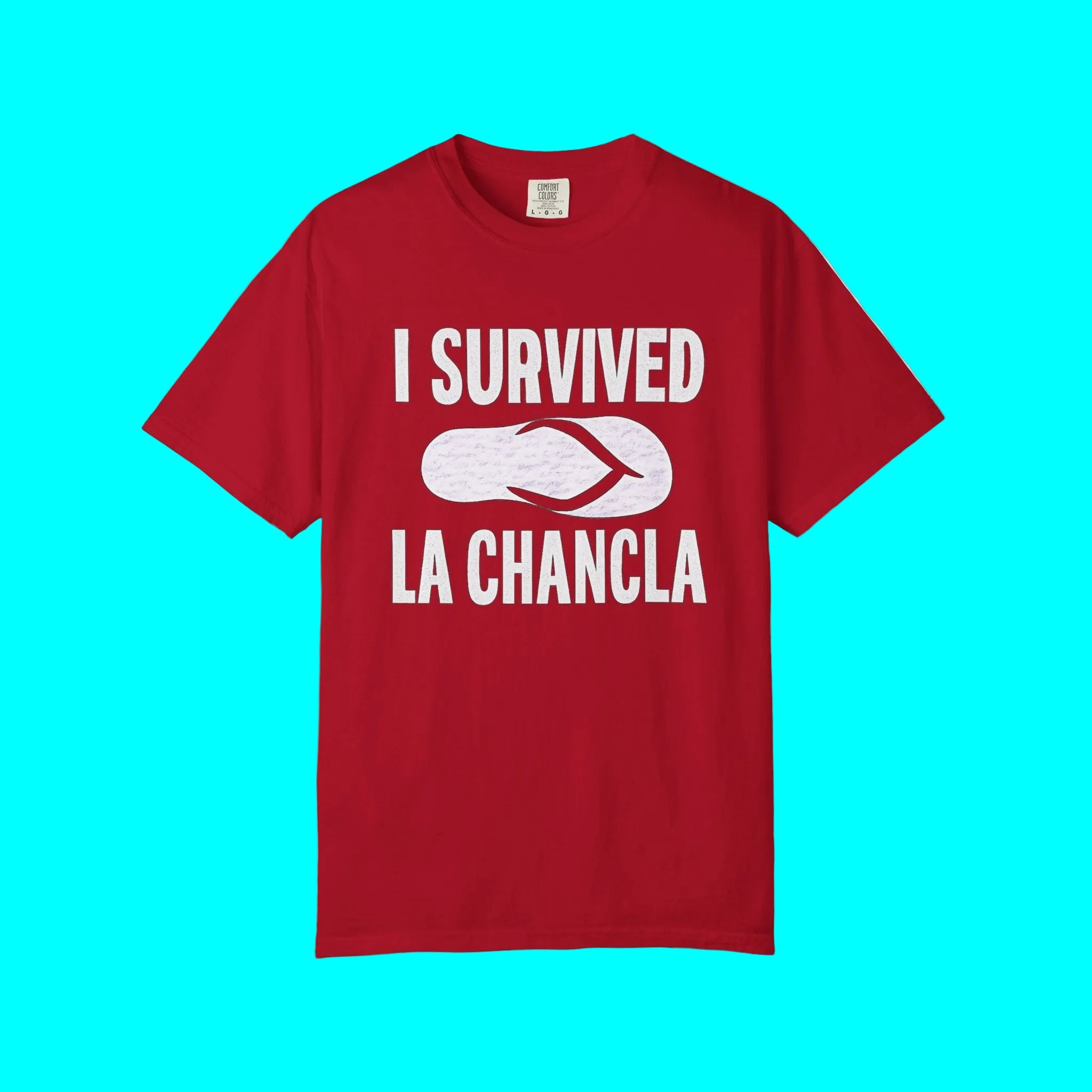 I Survived La Chancla T-shirt | Chancleta Joke Design | 3 Colors