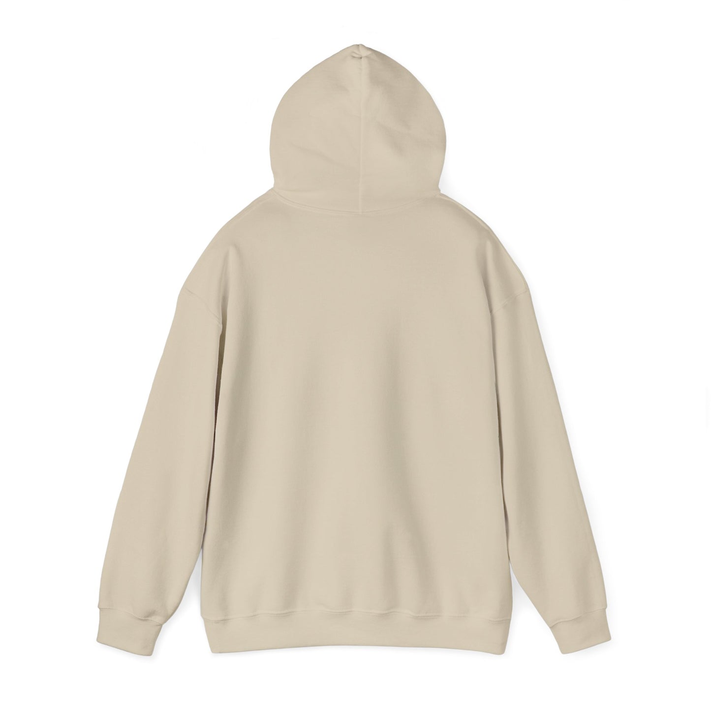I'm in a Michigan state of mind Hooded Sweatshirt
