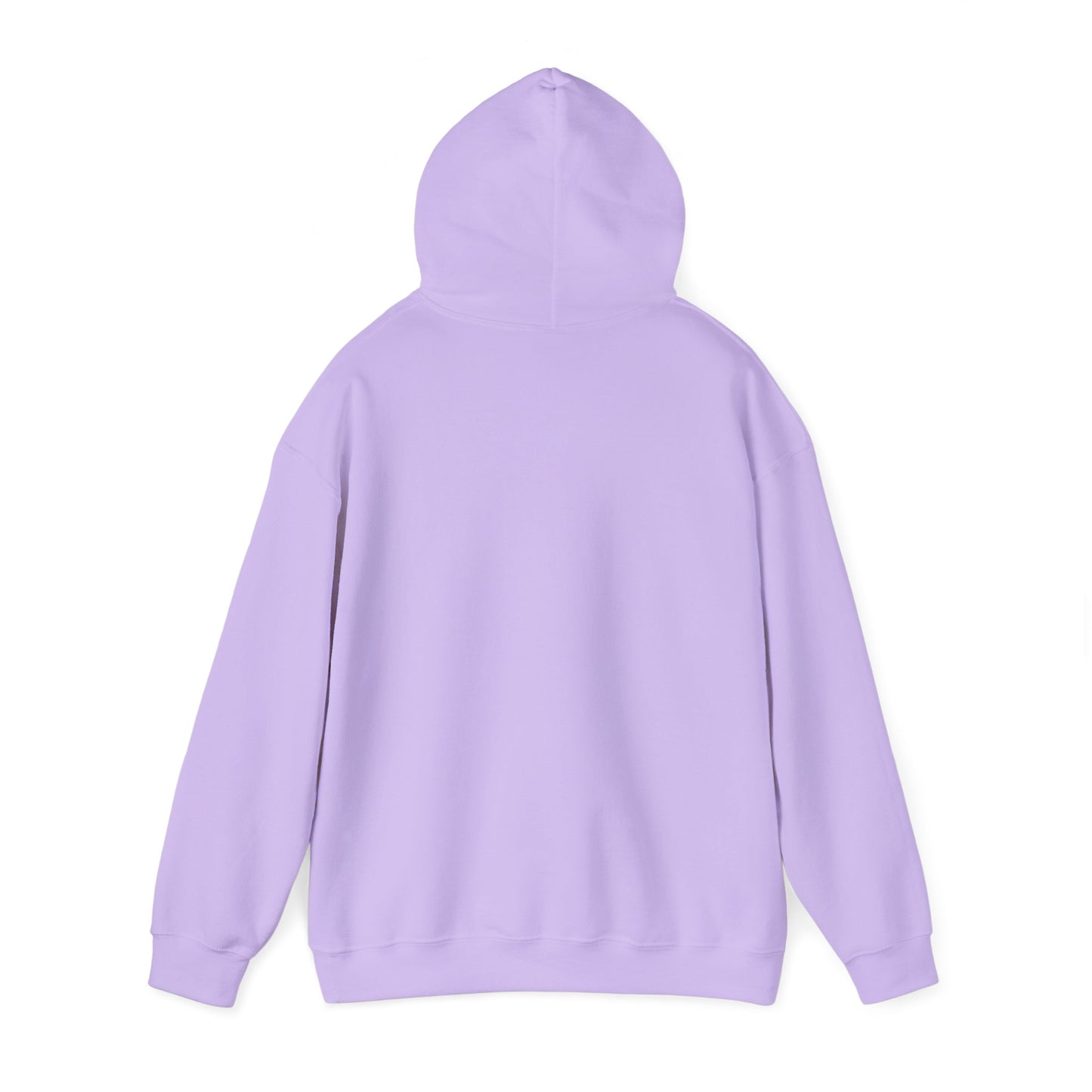 I'm in a Michigan state of mind Hooded Sweatshirt