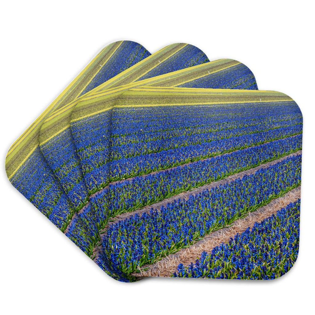 3dRose Danita Delimont - Agriculture - Netherlands, Southern Holland Province, Lisse, hyacinths Fields - Coasters