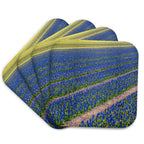 3dRose Danita Delimont - Agriculture - Netherlands, Southern Holland Province, Lisse, hyacinths Fields - Coasters