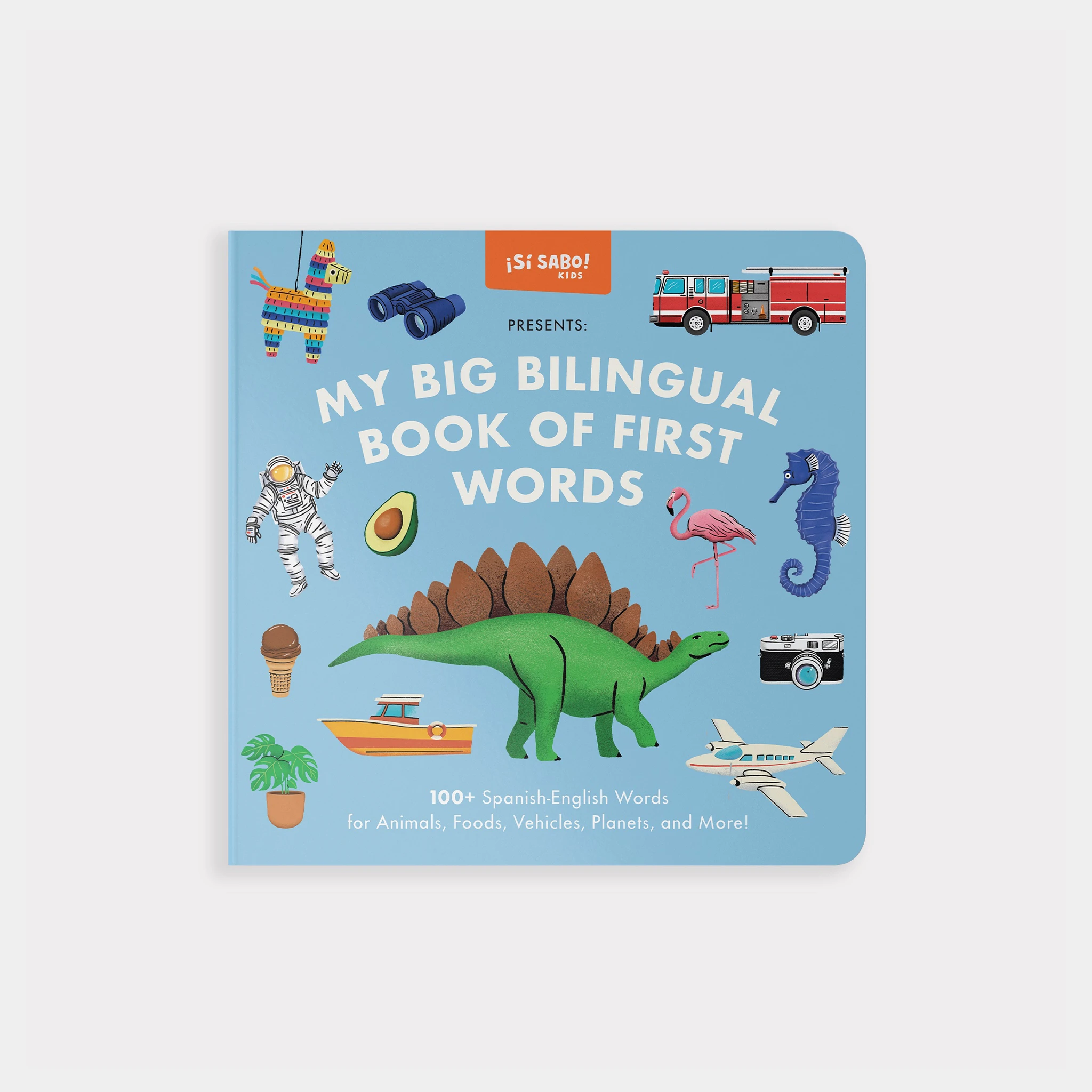 My Big Bilingual Book of First Words (English & Spanish) by Tia Chucha's Centro Cultural & Bookstore