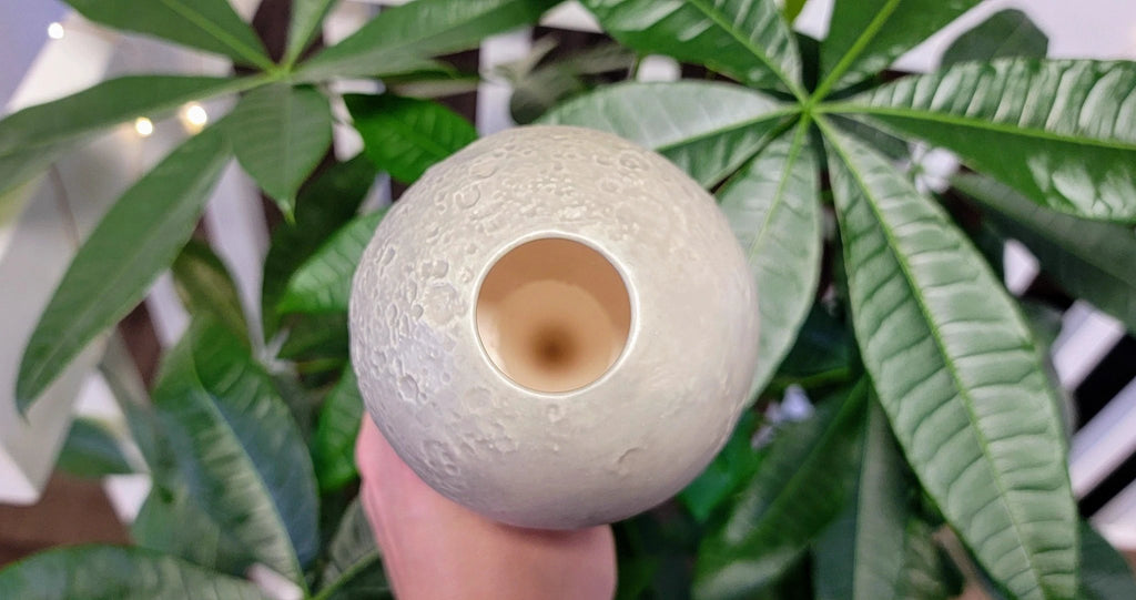 Moon Plant Watering Spike