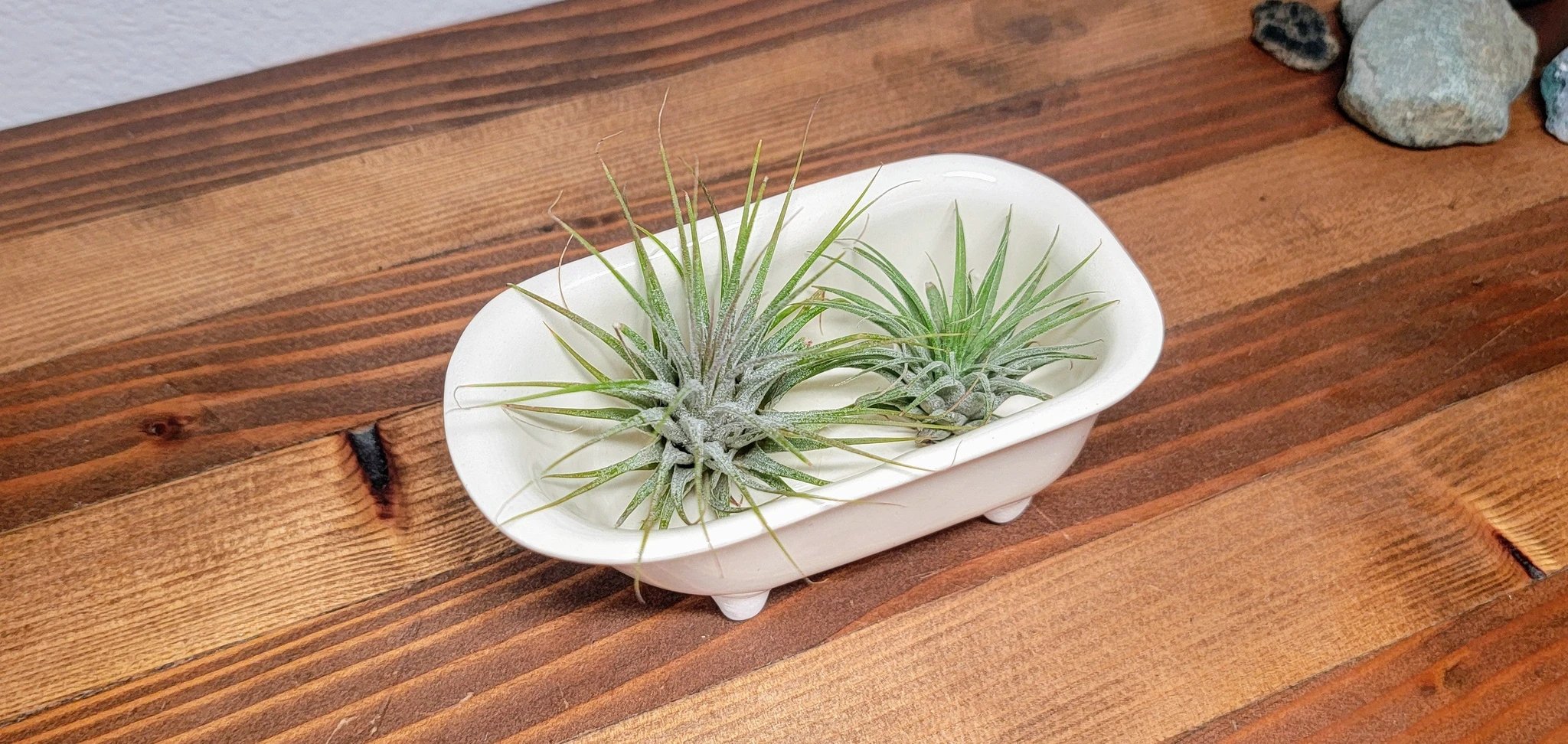Small Bathtub Planter by Mountain Mudworks