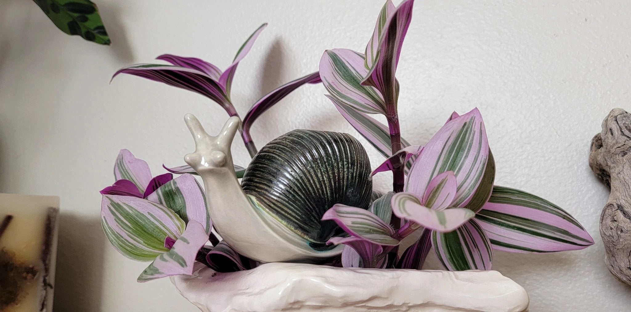 Snail Watering Spike by Mountain Mudworks