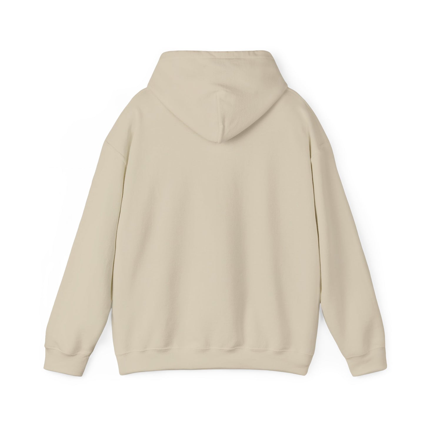 I'm in a Michigan state of mind Hooded Sweatshirt