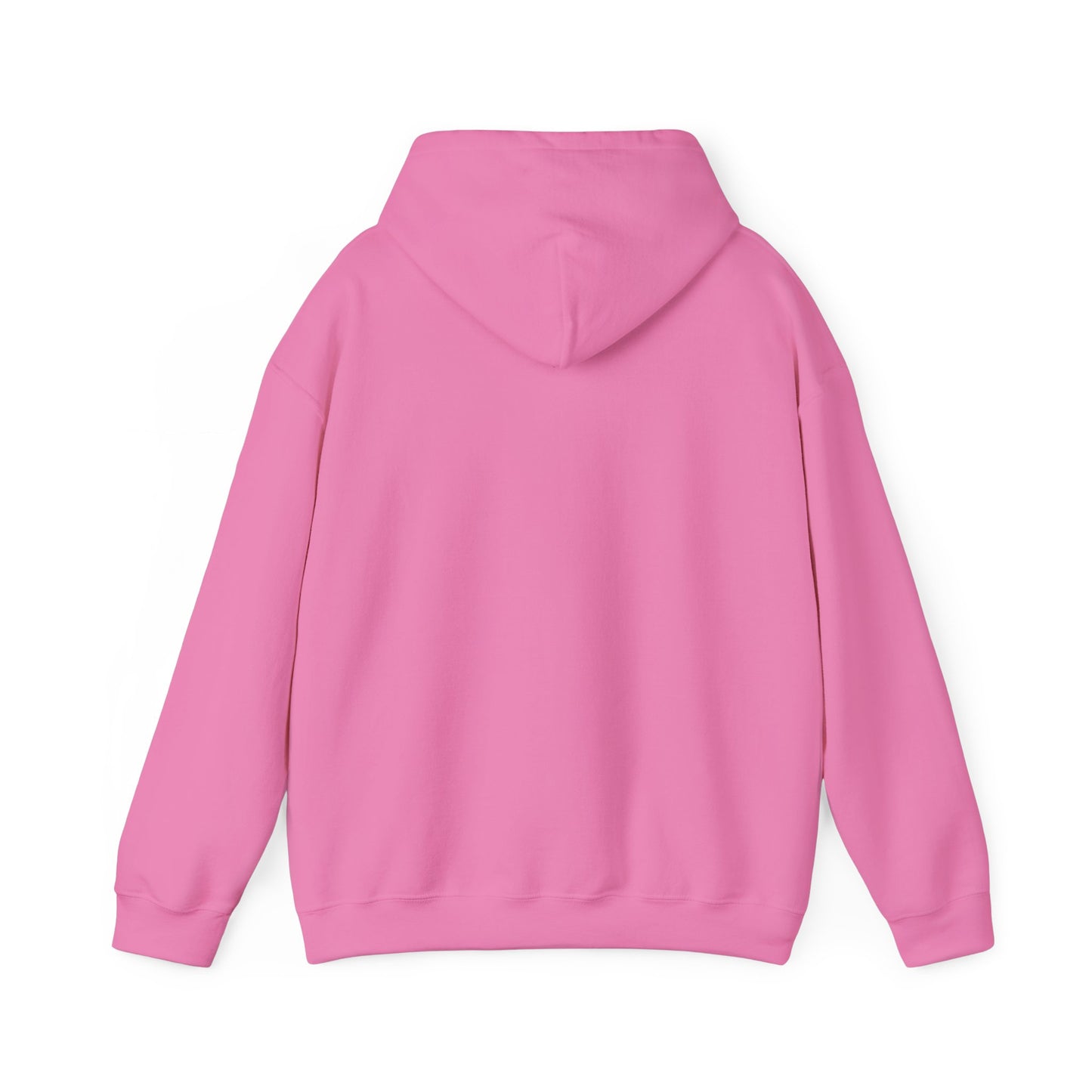 I'm in a Michigan state of mind Hooded Sweatshirt