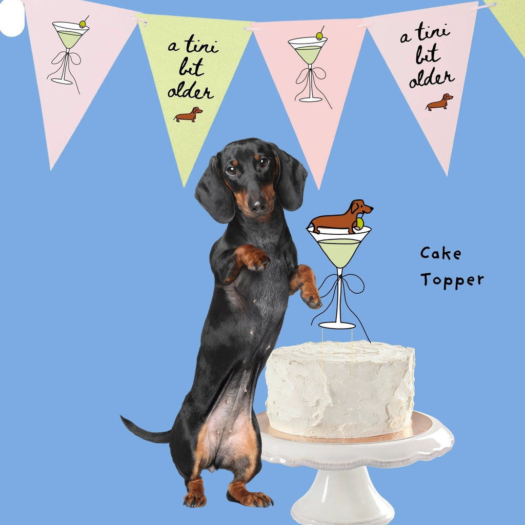 Sweet Paws x Five Dot Post "Weenies and Tinis" Pawty Pack 18 pc set by Five Dot Post