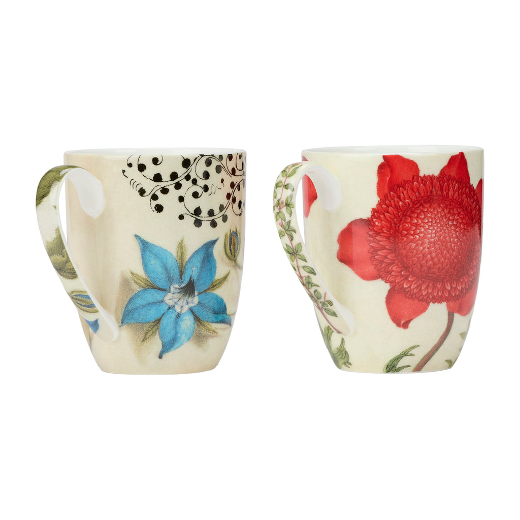 Hoefnagel Mug Pair