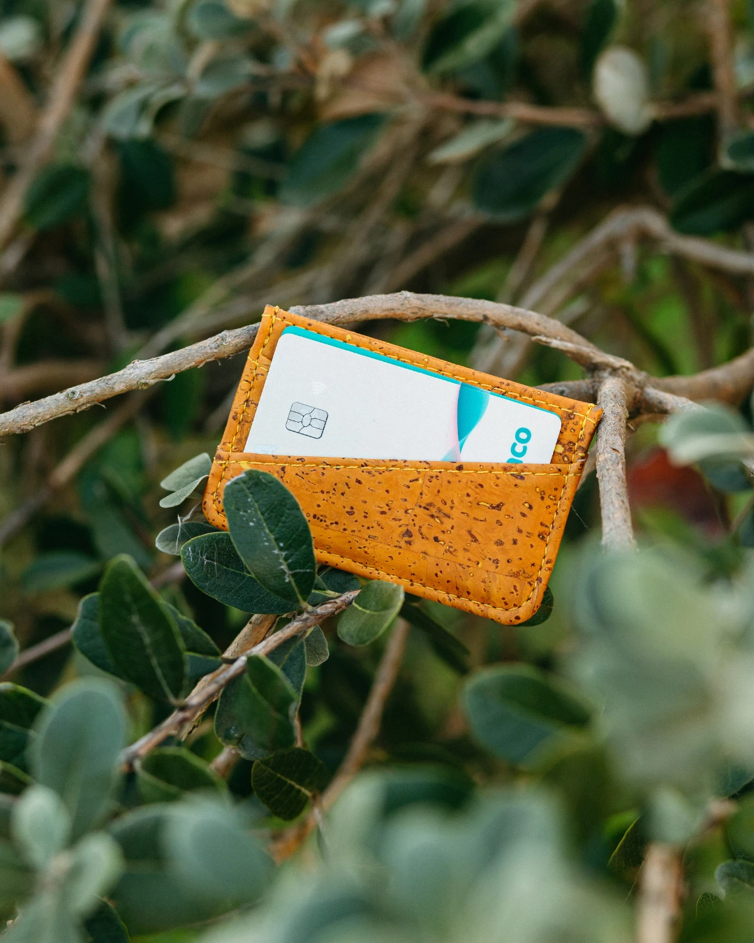 OG Cardholder by Tiradia Cork