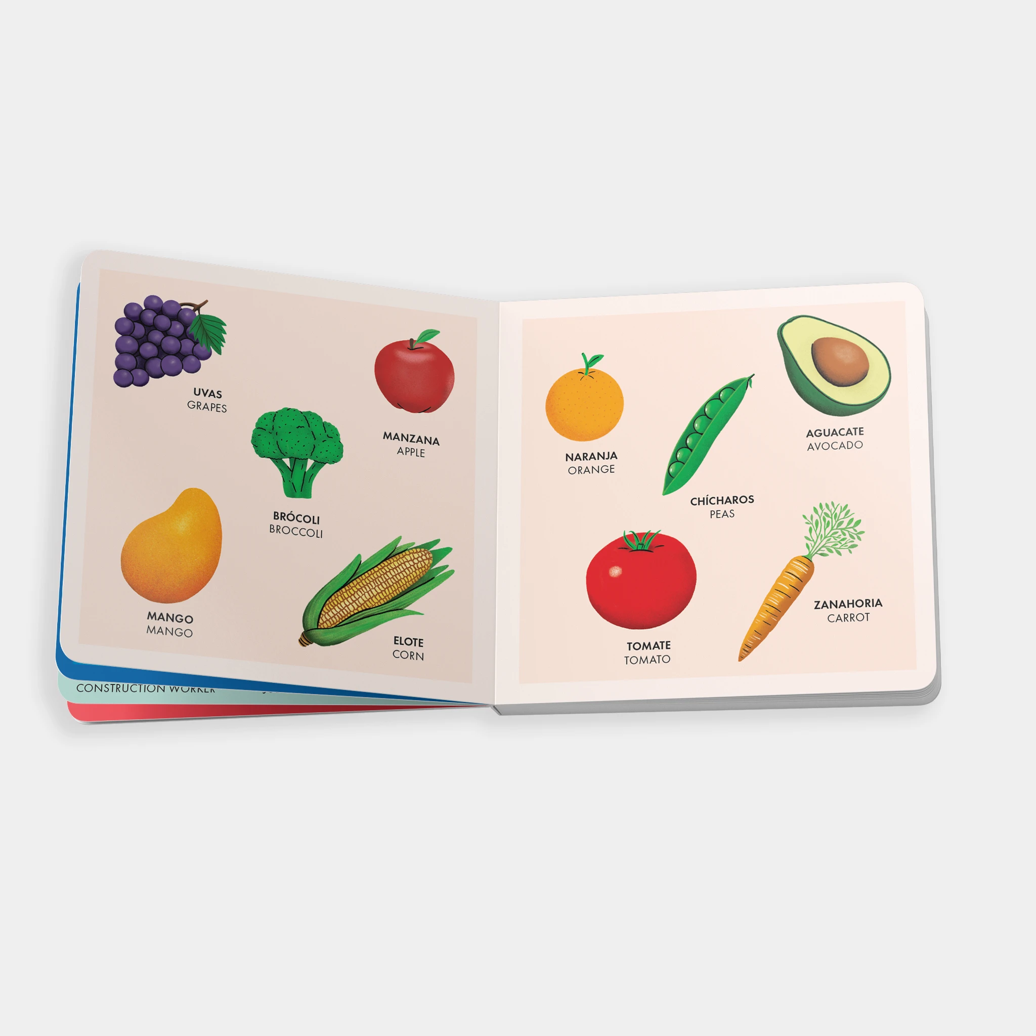 My Big Bilingual Book of First Words (English & Spanish) by Tia Chucha's Centro Cultural & Bookstore