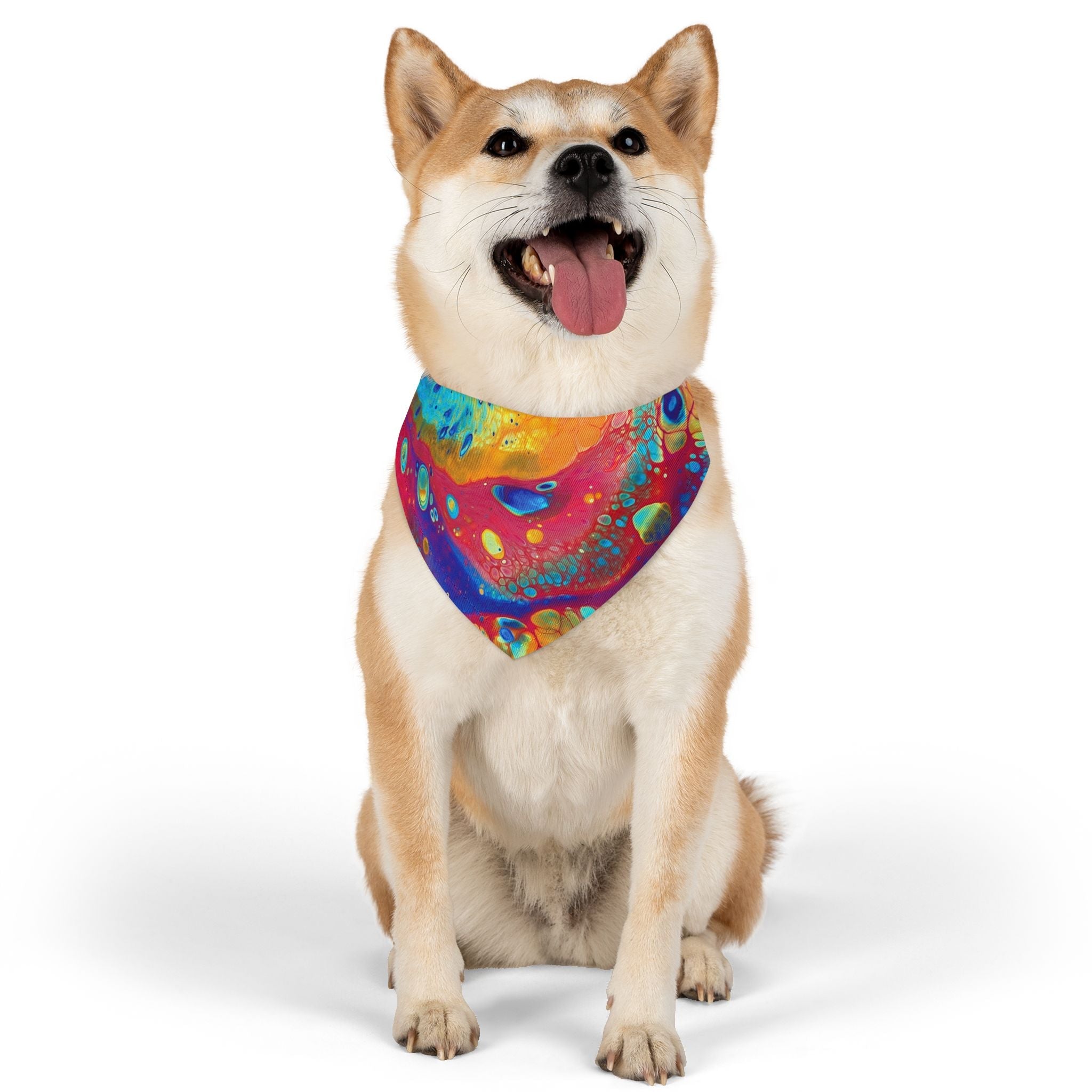 Bespattered Facade Rainbow Galaxy Pet Bandana Collar