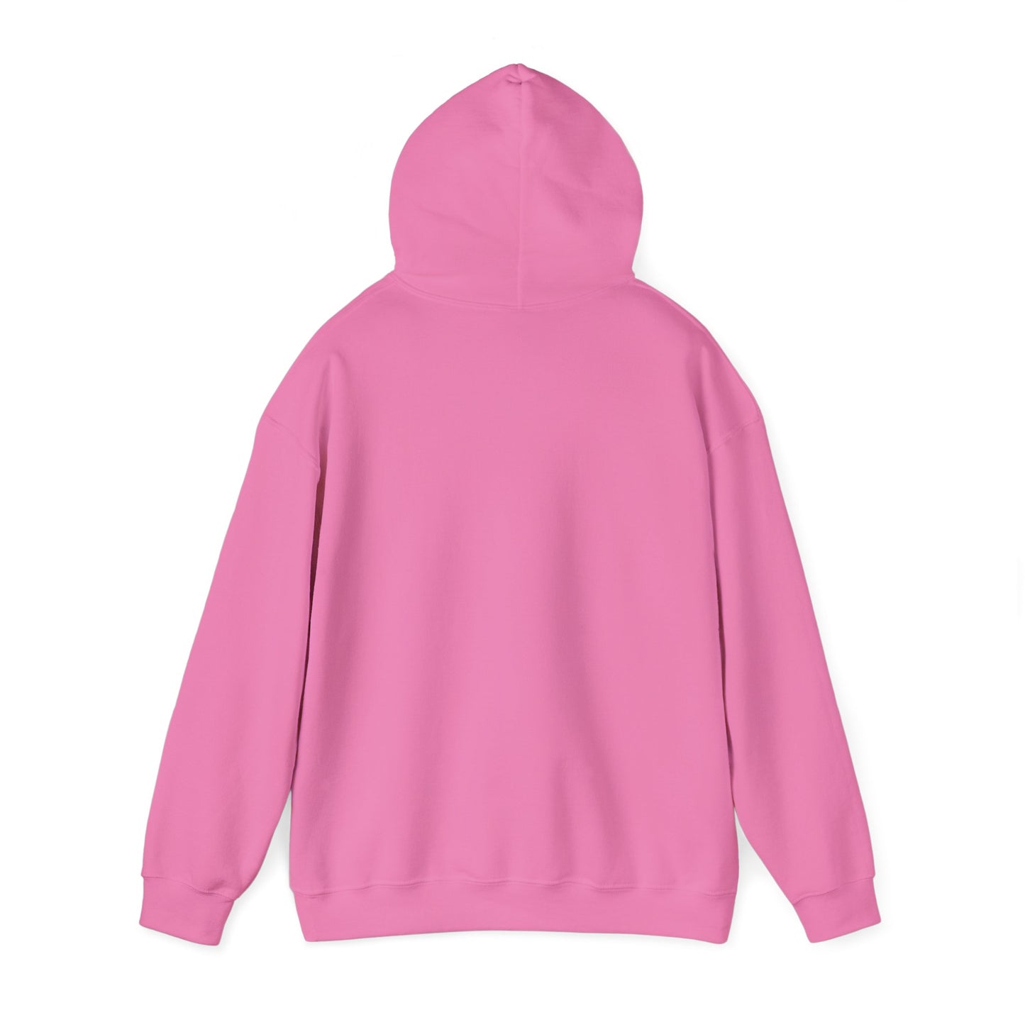I'm in a Michigan state of mind Hooded Sweatshirt