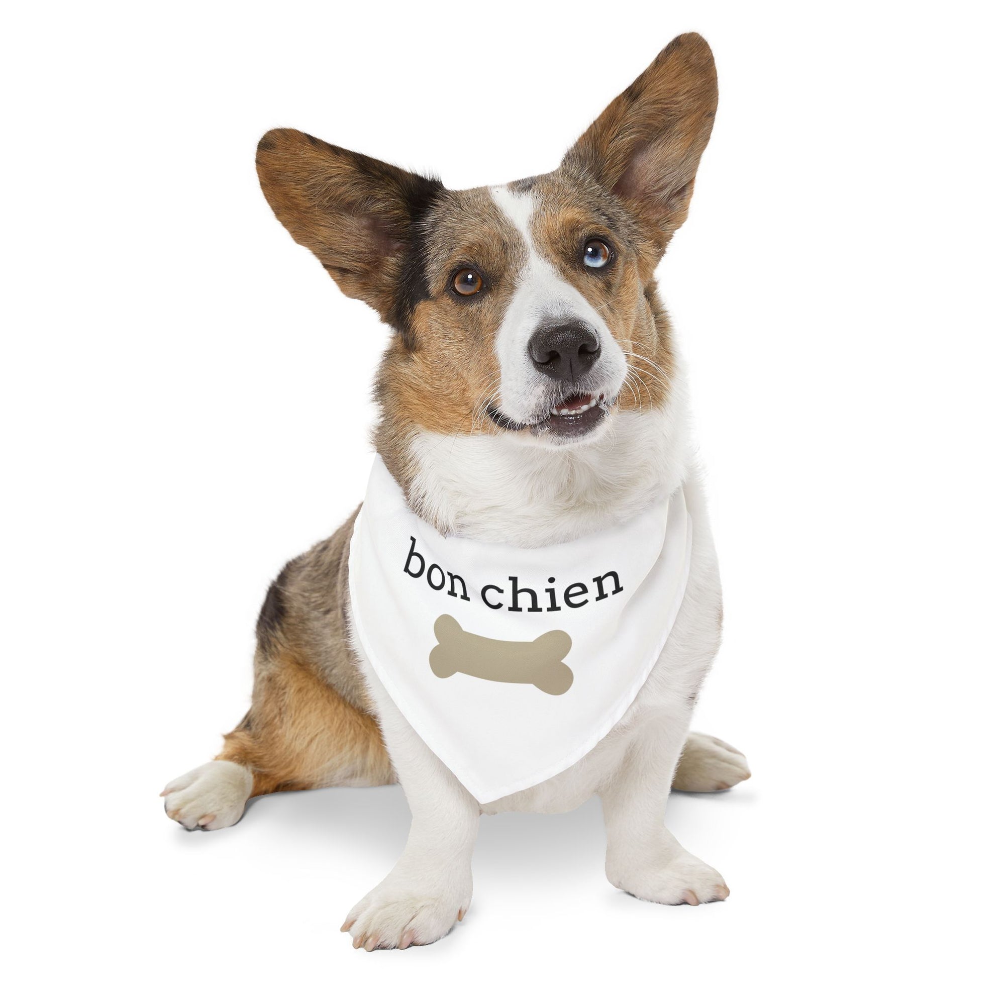 Bon chien Pet Bandana Collar