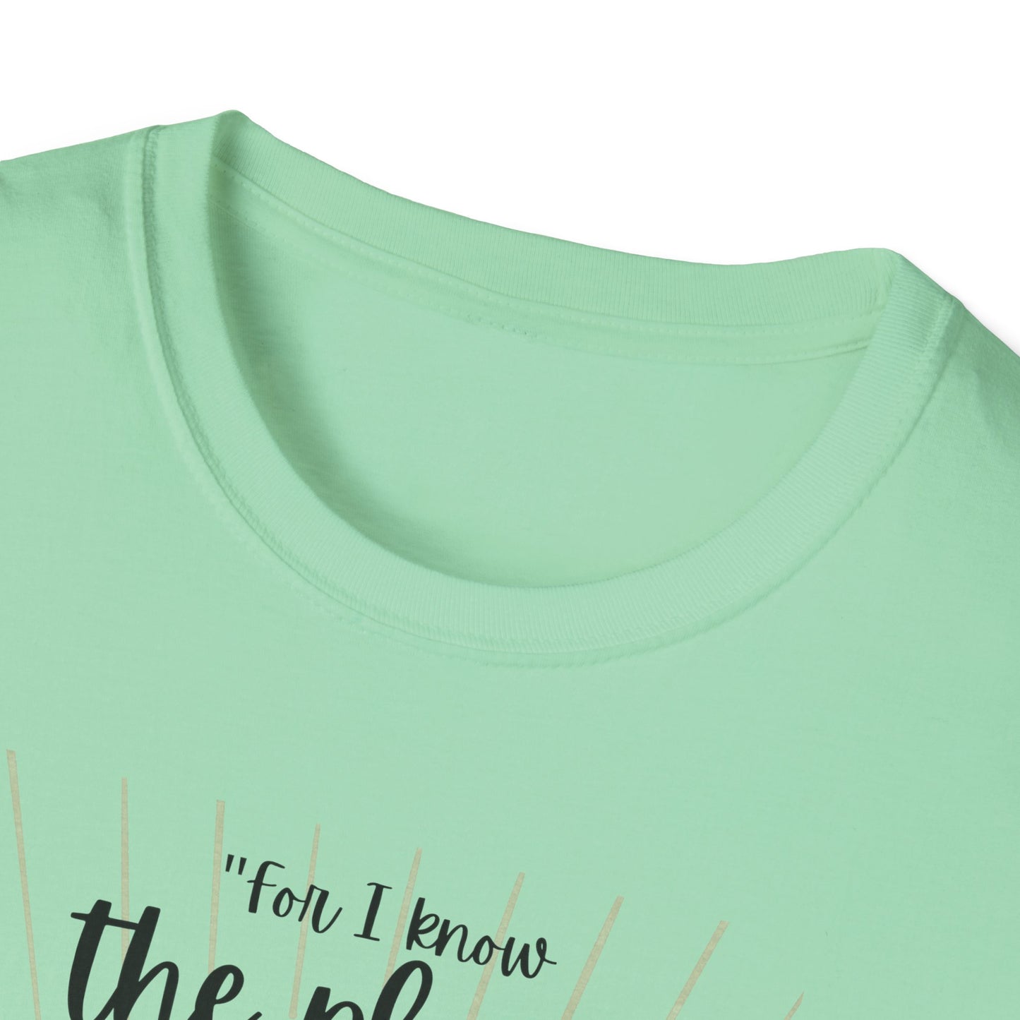 Jeremiah 29 11 Bible Verse T-Shirt
