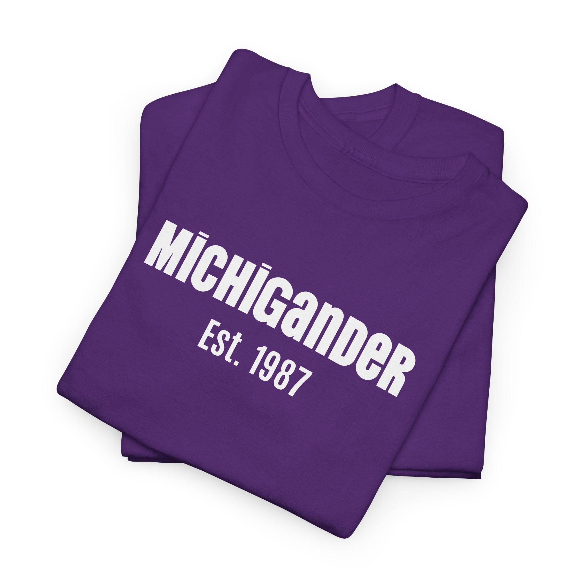 Michigander Established Year T‑Shirt — Customizable Michigan Pride Tee