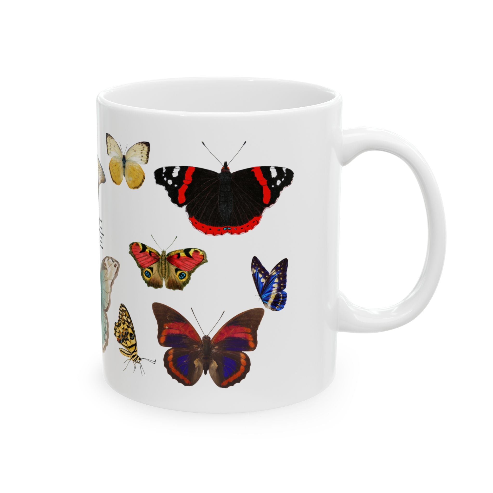 나비들 (Nabideul) Korean Vintage Butterflies Ceramic Mug — Colorful insect Design (11oz & 15oz)