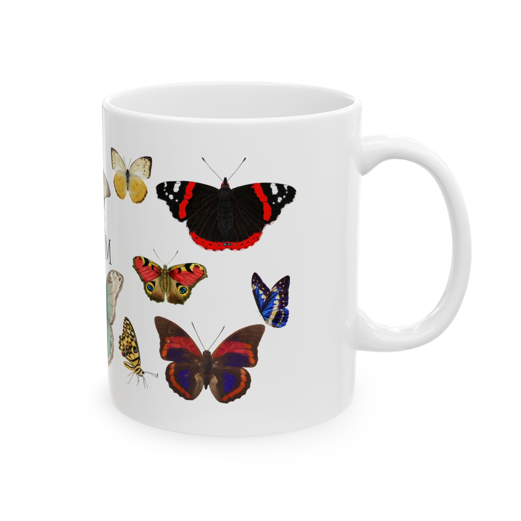 Bướm Vietnamese Vintage Butterflies Ceramic Mug — Colorful insect Design (11oz & 15oz)