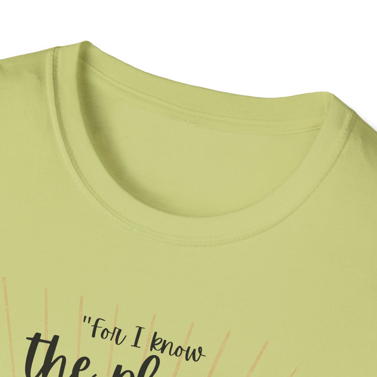 Jeremiah 29 11 Bible Verse T-Shirt