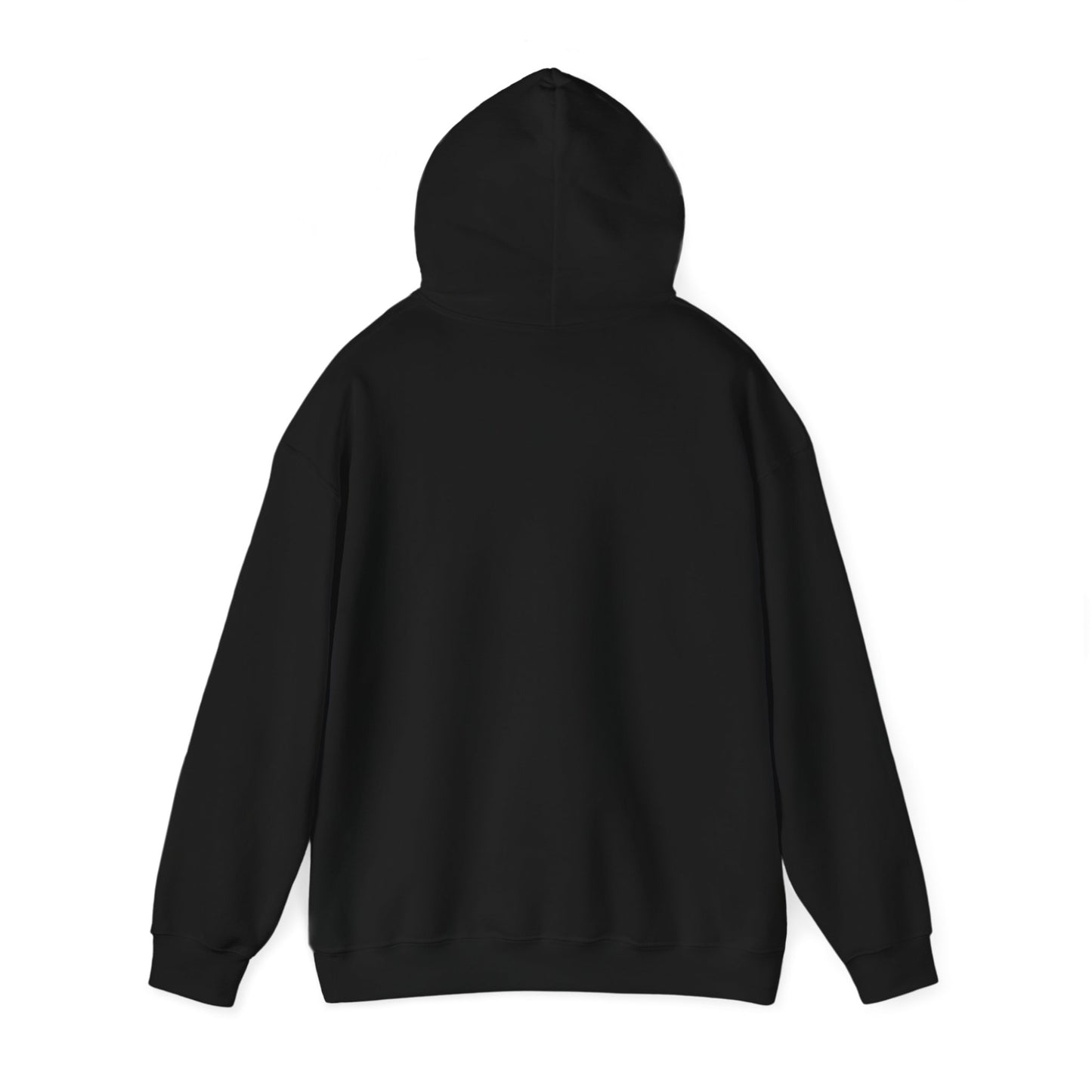 I'm in a Michigan state of mind Hooded Sweatshirt