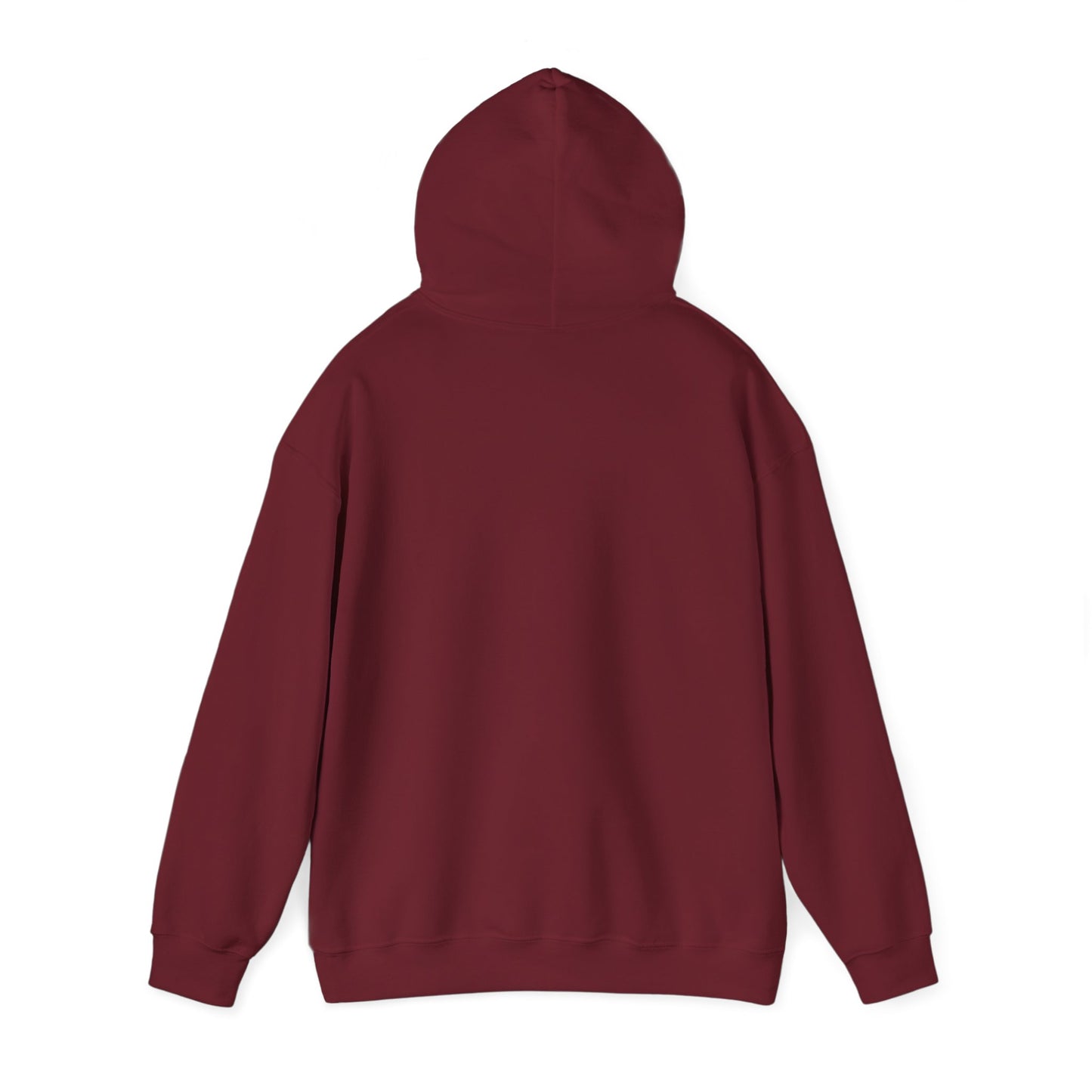 I'm in a Michigan state of mind Hooded Sweatshirt