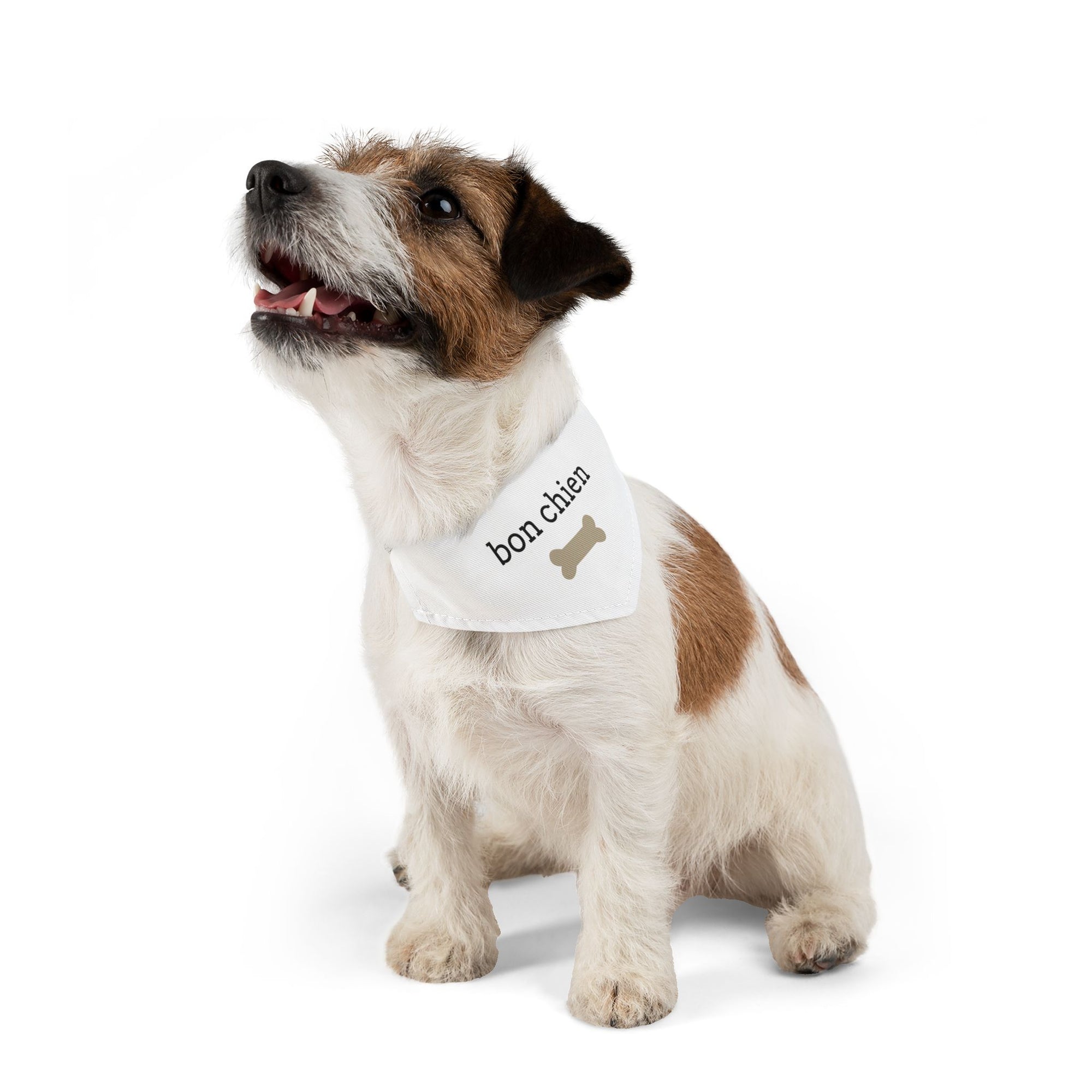 Bon chien Pet Bandana Collar
