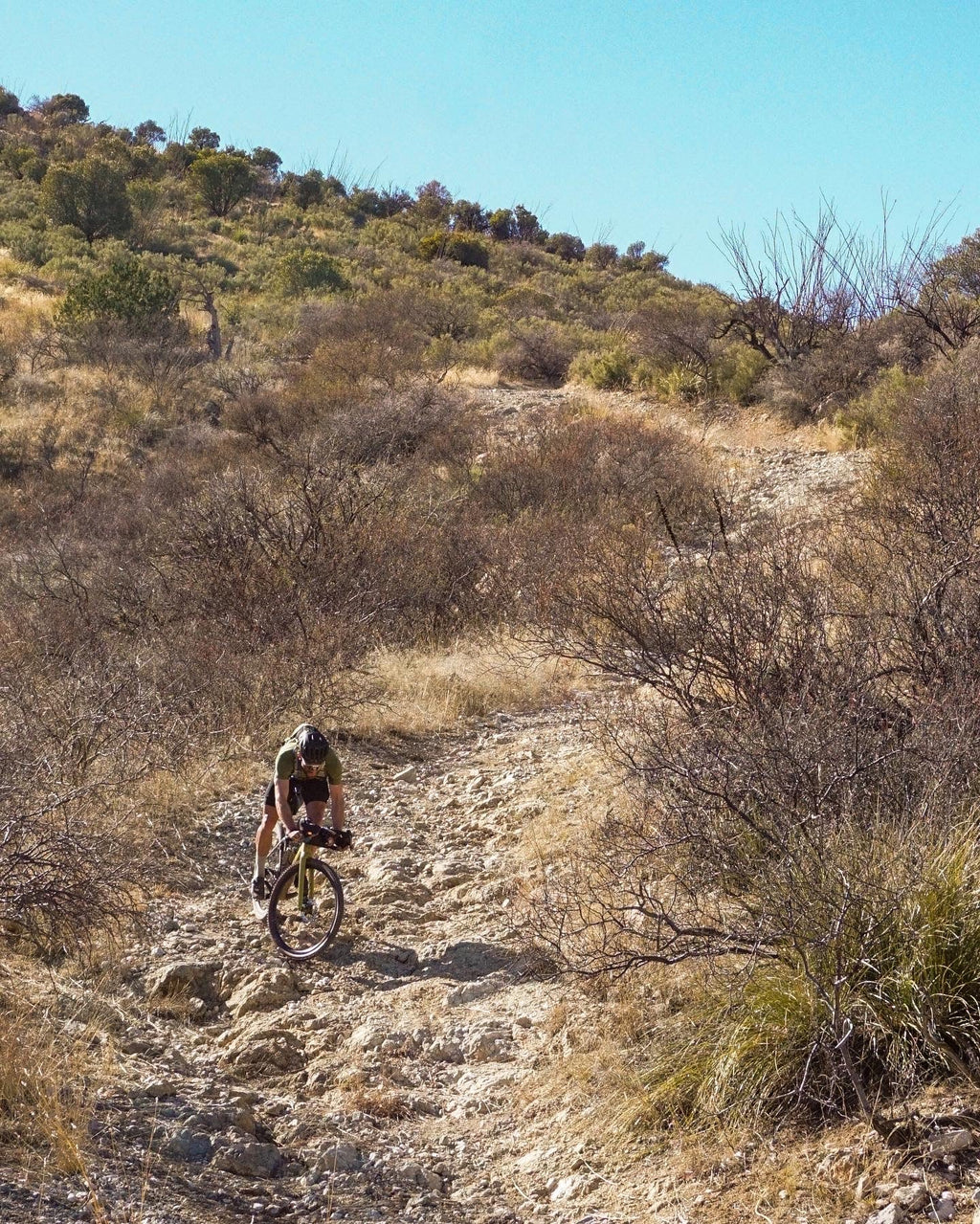 Rocket Sloth 157 Blend