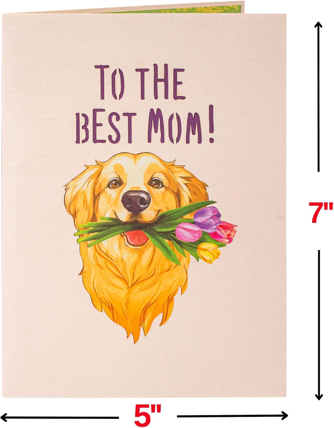 Happy Mother's Day Dog Pop Up Card - 5" x 7"