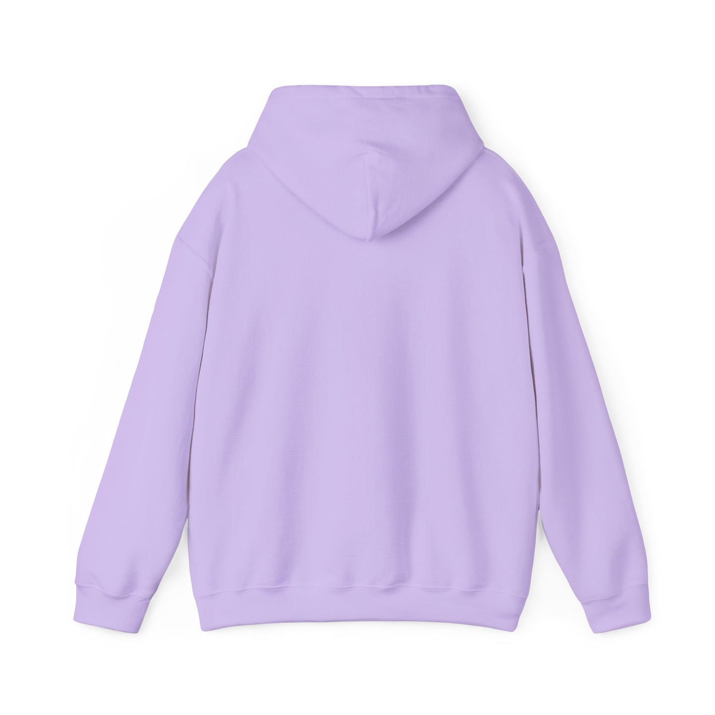 I'm in a Michigan state of mind Hooded Sweatshirt