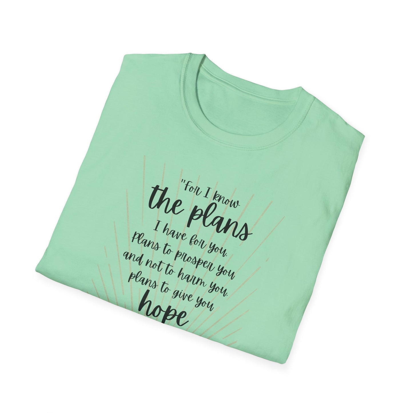 Jeremiah 29 11 Bible Verse T-Shirt