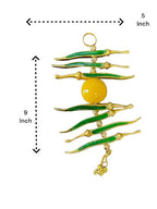 Nimbu Mirchi Hanging