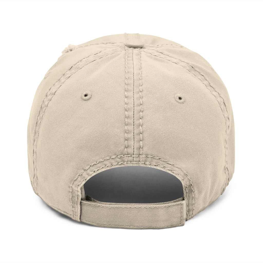 Embroidered Distressed Detroit Hat