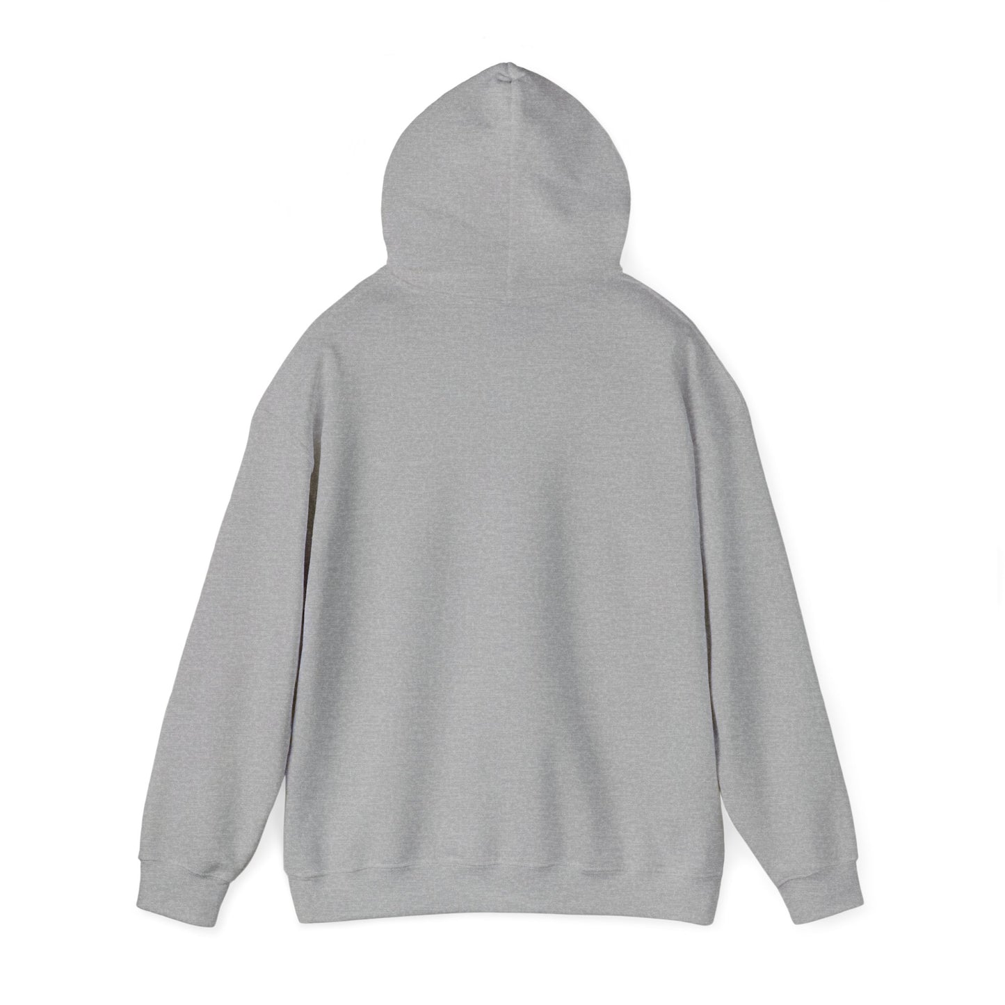 I'm in a Michigan state of mind Hooded Sweatshirt