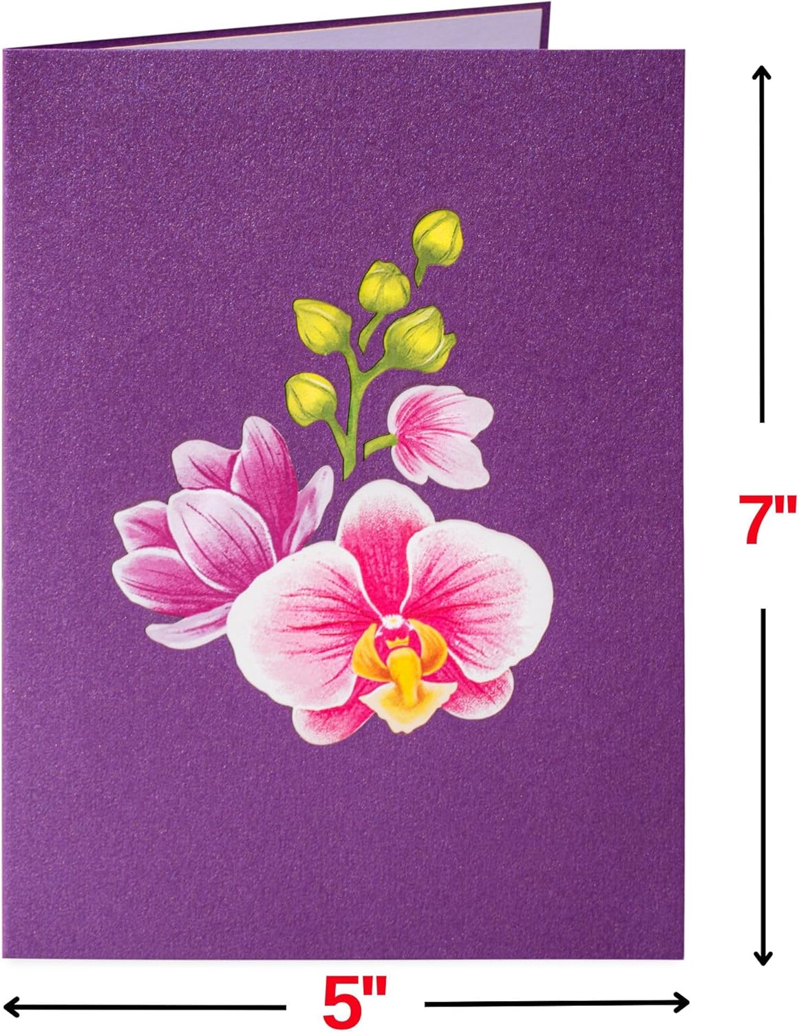 Happy Mothers Day Orchids Pop Up Card - 5" x 7"