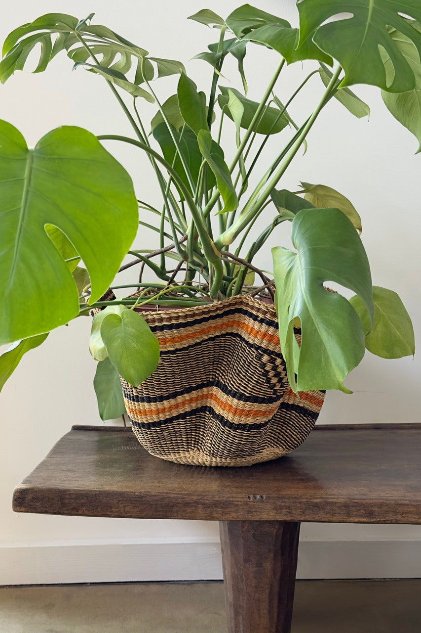 Earthy Wave
