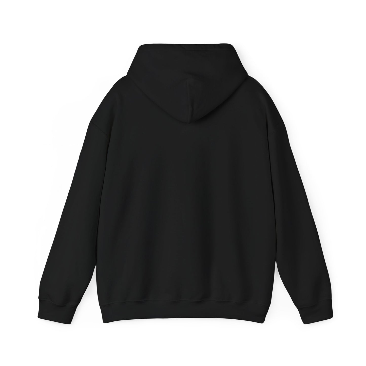 I'm in a Michigan state of mind Hooded Sweatshirt