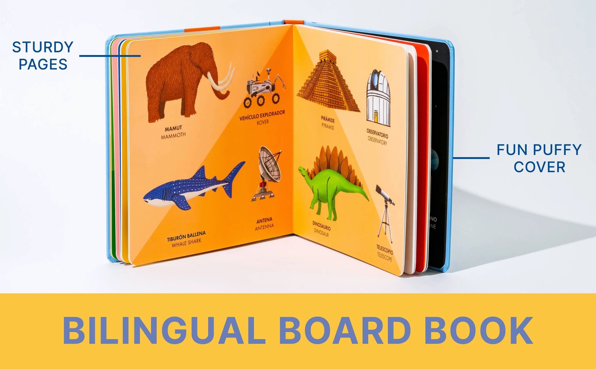 My Big Bilingual Book of First Words (English & Spanish) by Tia Chucha's Centro Cultural & Bookstore