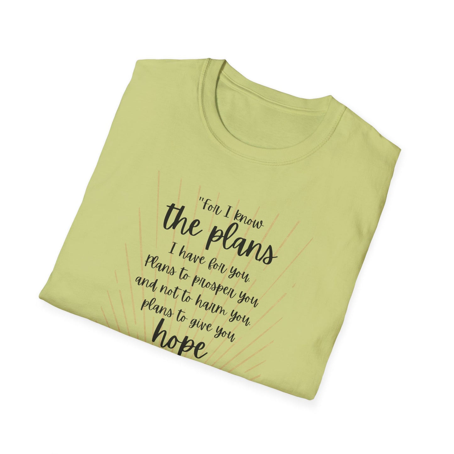 Jeremiah 29 11 Bible Verse T-Shirt