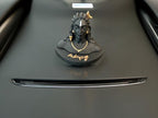 Adiyogi Idol