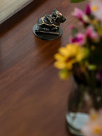 Nandi Idol