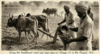 Coastal Whitewash Agrarian Seeder